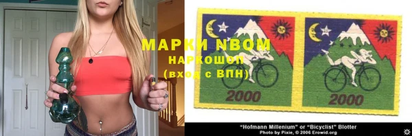 индика Зеленокумск
