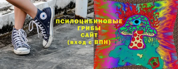 индика Зеленокумск