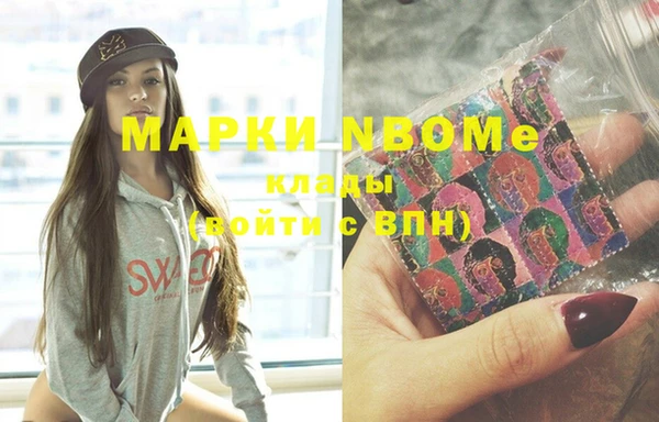индика Зеленокумск
