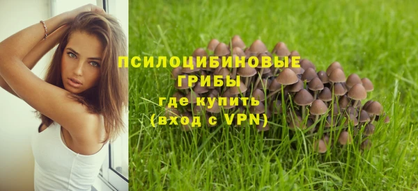дурь Зерноград