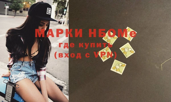 индика Зеленокумск