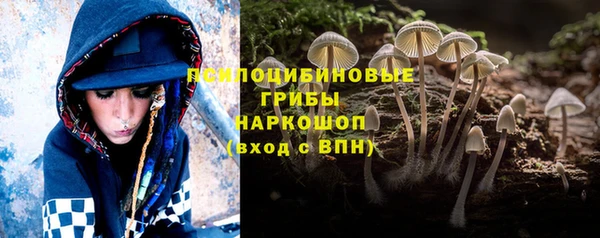 индика Зеленокумск