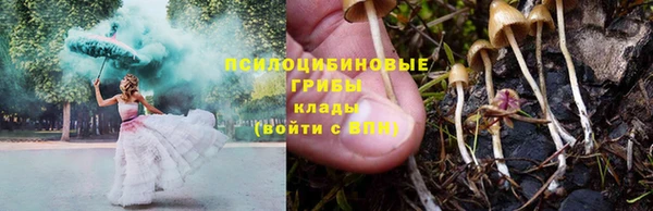 дурь Зерноград