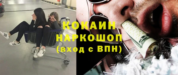 индика Зеленокумск