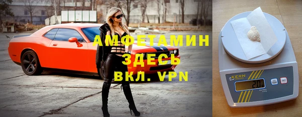 индика Зеленокумск