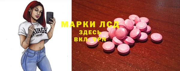 индика Зеленокумск
