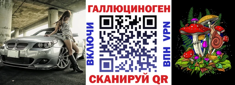 Купить закладки  Шацк  Псилоцибиновые грибы ЛСД 